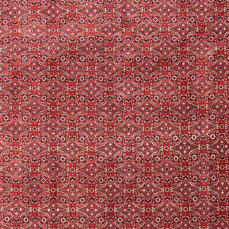 Perserteppich - Bidjar 340 x 255 cm Teppich Wohnzimmer