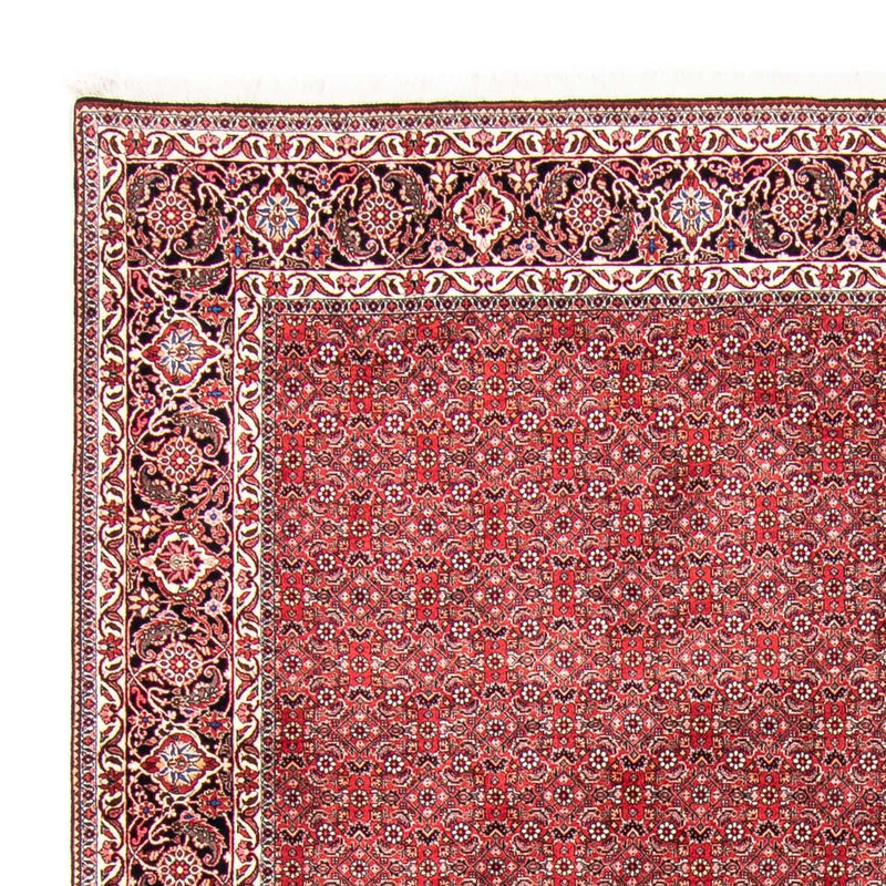 Perserteppich - Bidjar 340 x 255 cm Teppich Wohnzimmer