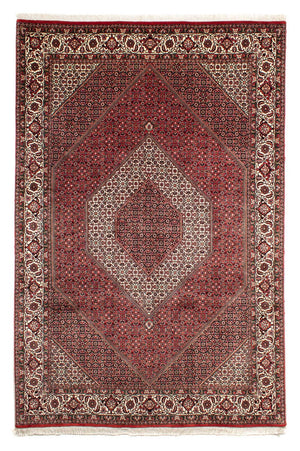 Perserteppich - Bidjar 302 x 204 cm