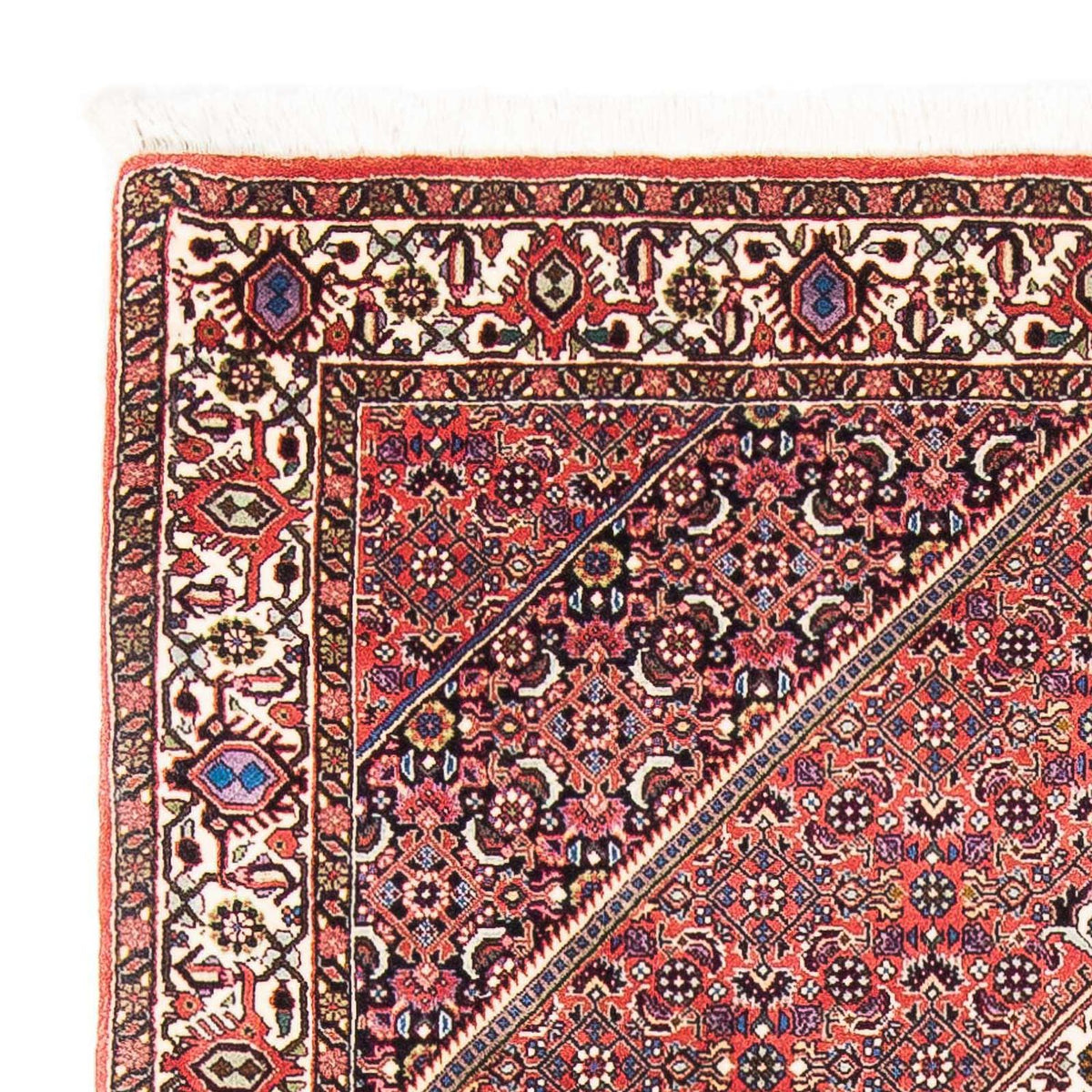Tapis de Bidjar Tapis 112x182cm - Tapis persan