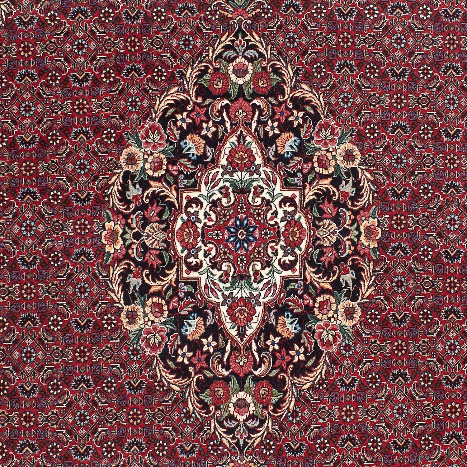 Perserteppich - Bidjar - Royal 233 x 140 cm