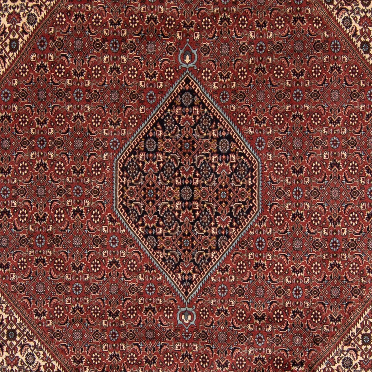Perserteppich - Bidjar 342 x 250 cm