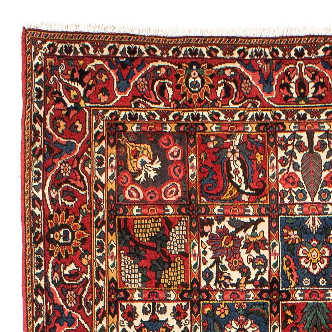Bachtiar Teppich 246x161cm - Perserteppich