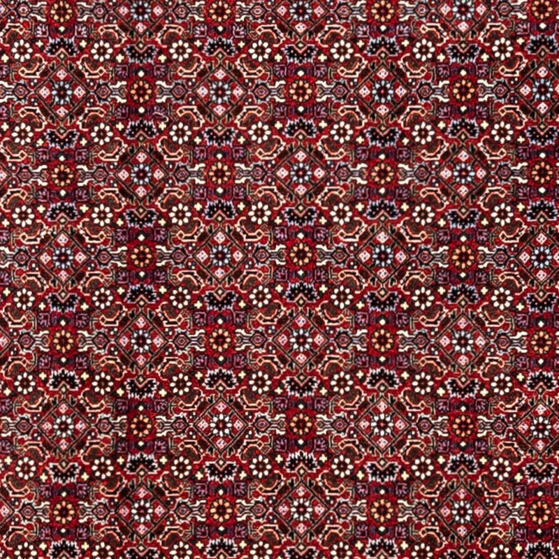 Perserteppich - Bidjar - Royal 340 x 252 cm - rot