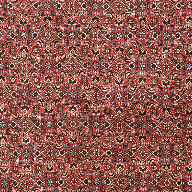 Perserteppich - Bidjar 288 x 202 cm