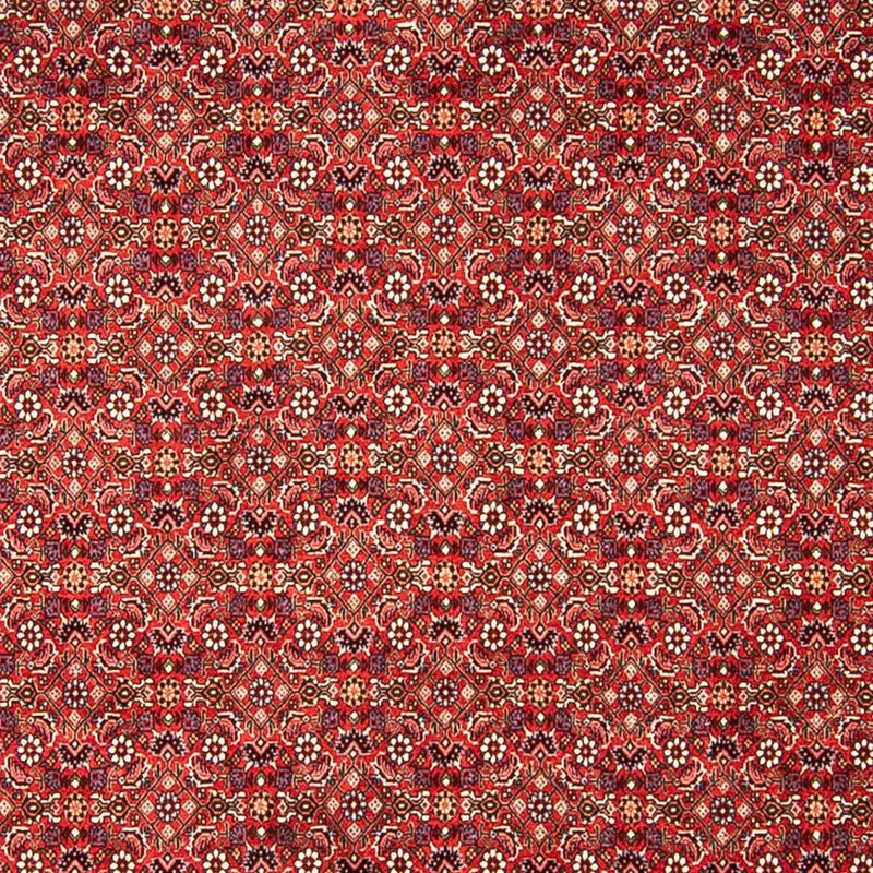 Perserteppich - Bidjar 290 x 250 cm