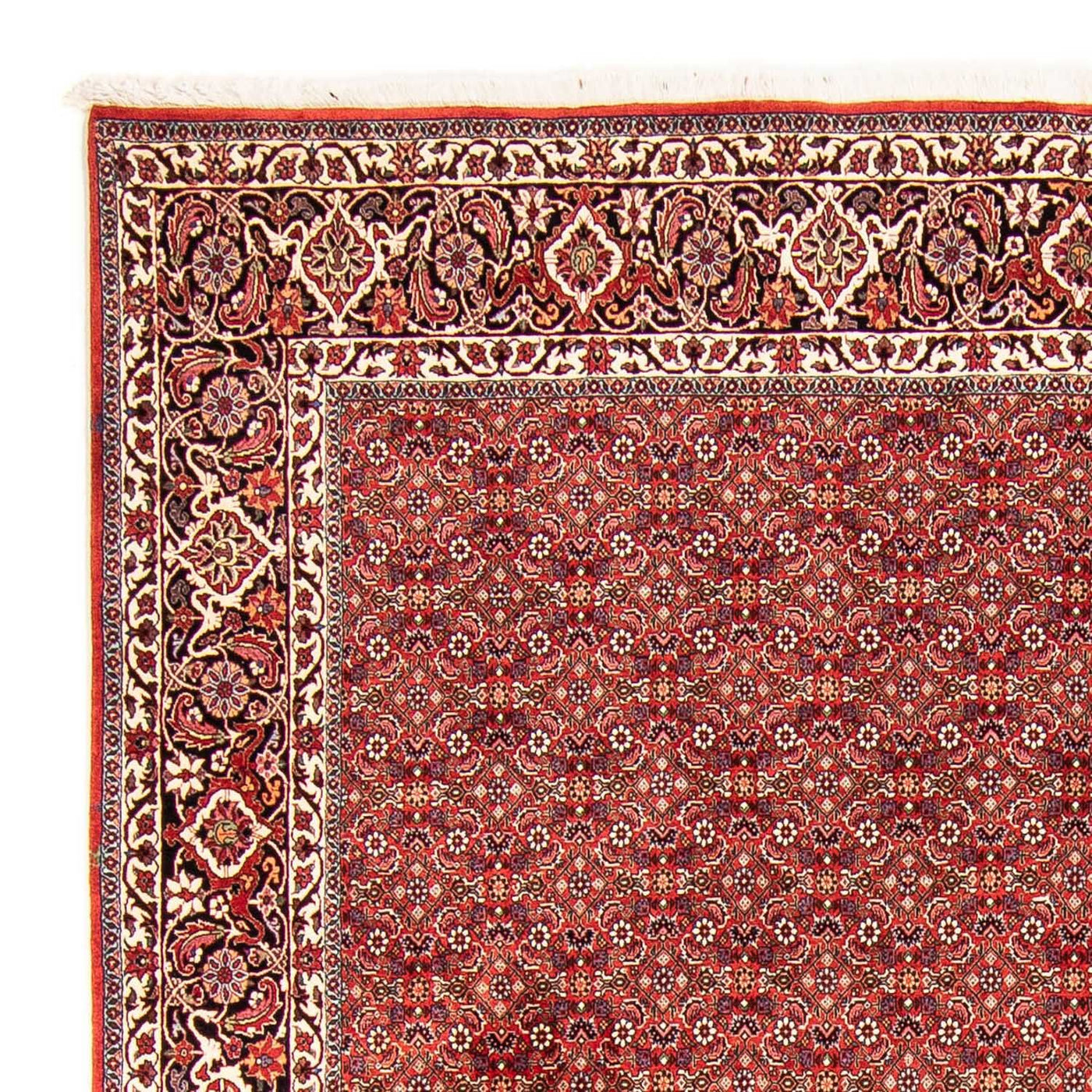 Tapis de Bidjar Tapis 290x250cm - Tapis persan