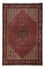 Perserteppich - Bidjar 300 x 202 cm