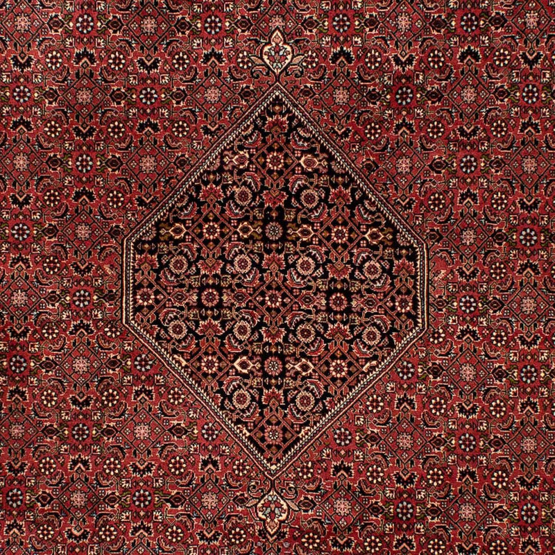 Perserteppich - Bidjar 300 x 202 cm