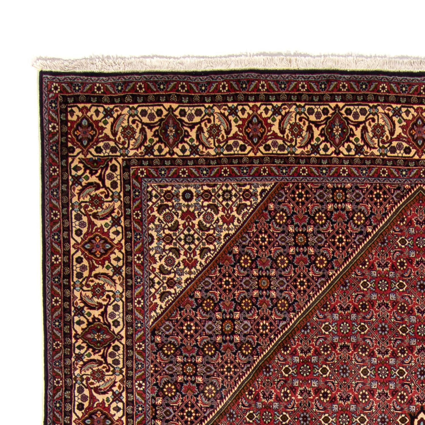 Bidjar Teppich 338x250cm - Perserteppich