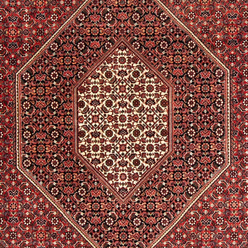 Perserteppich - Bidjar 233 x 169 cm
