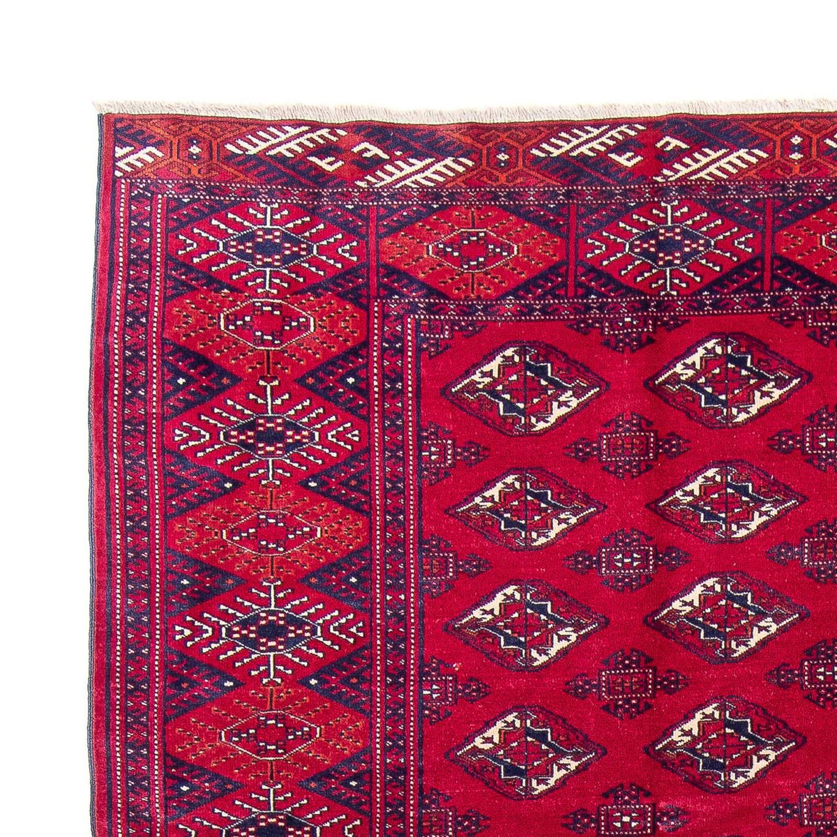Tappeto Turkaman 228x300cm - Tappeto persiano