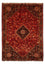 Perserteppich - Nomadic 288 x 203 cm - dunkelrot