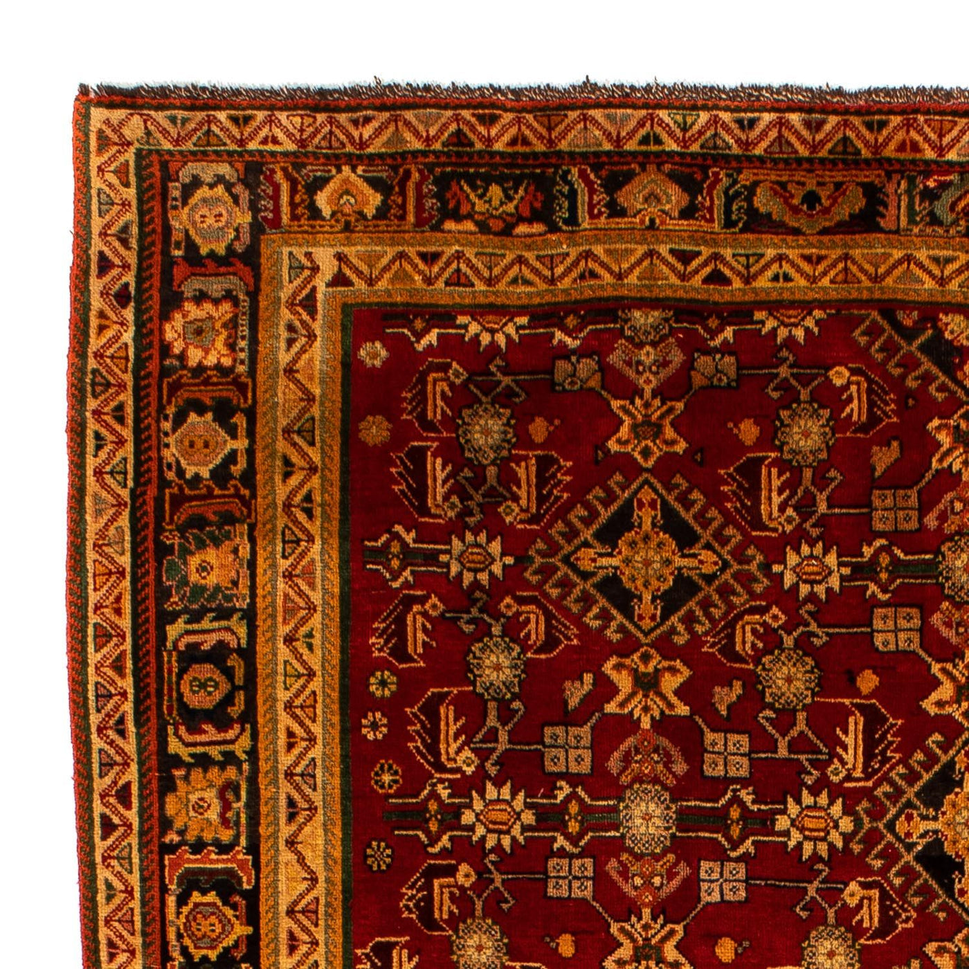 Shiraz Tappeto 296x190cm - Tappeto persiano