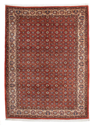 Perserteppich - Nomadic 301 x 223 cm