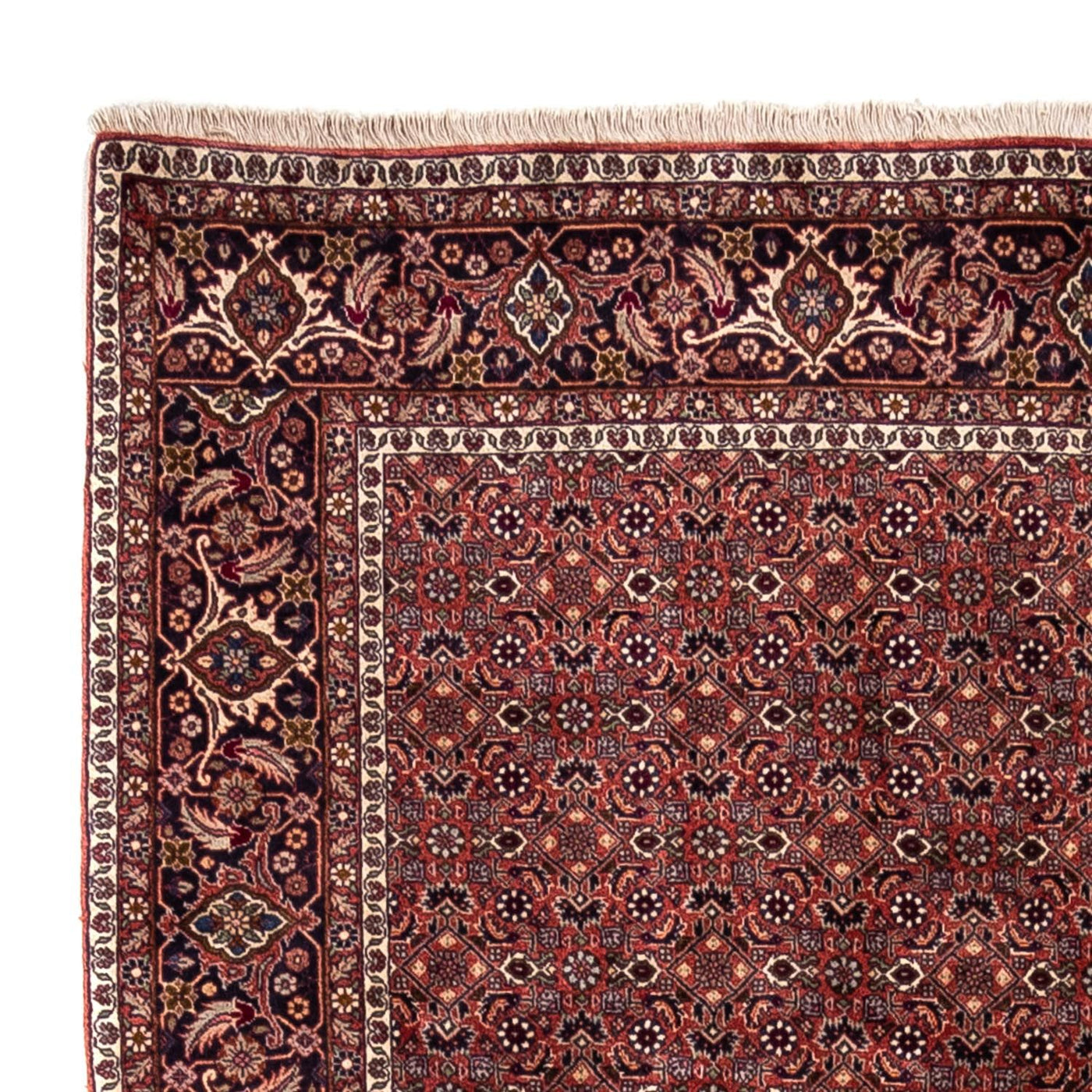 Bidjar - Takab Tappeto 293x200cm - Tappeto persiano