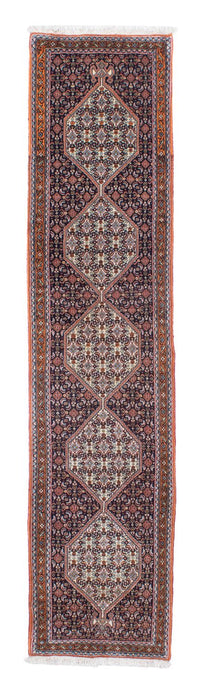 Tapis de couloir Tapis persan - Classique - 244 x 56 cm - multicolore