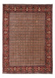 Perserteppich - Bidjar - Royal 287 x 208 cm