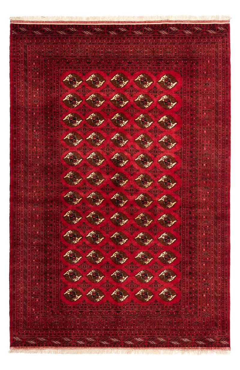 Perserteppich - Nomadic 290 x 203 cm