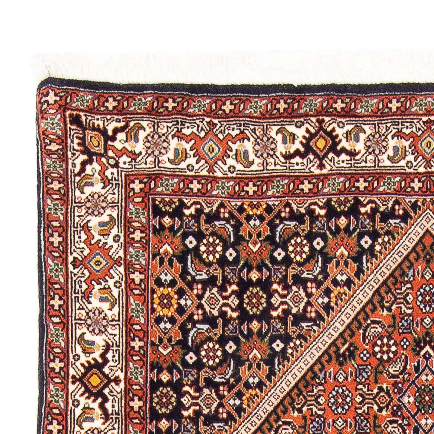 Bidjar - Zanjan Tapis 169x105cm - Tapis persan