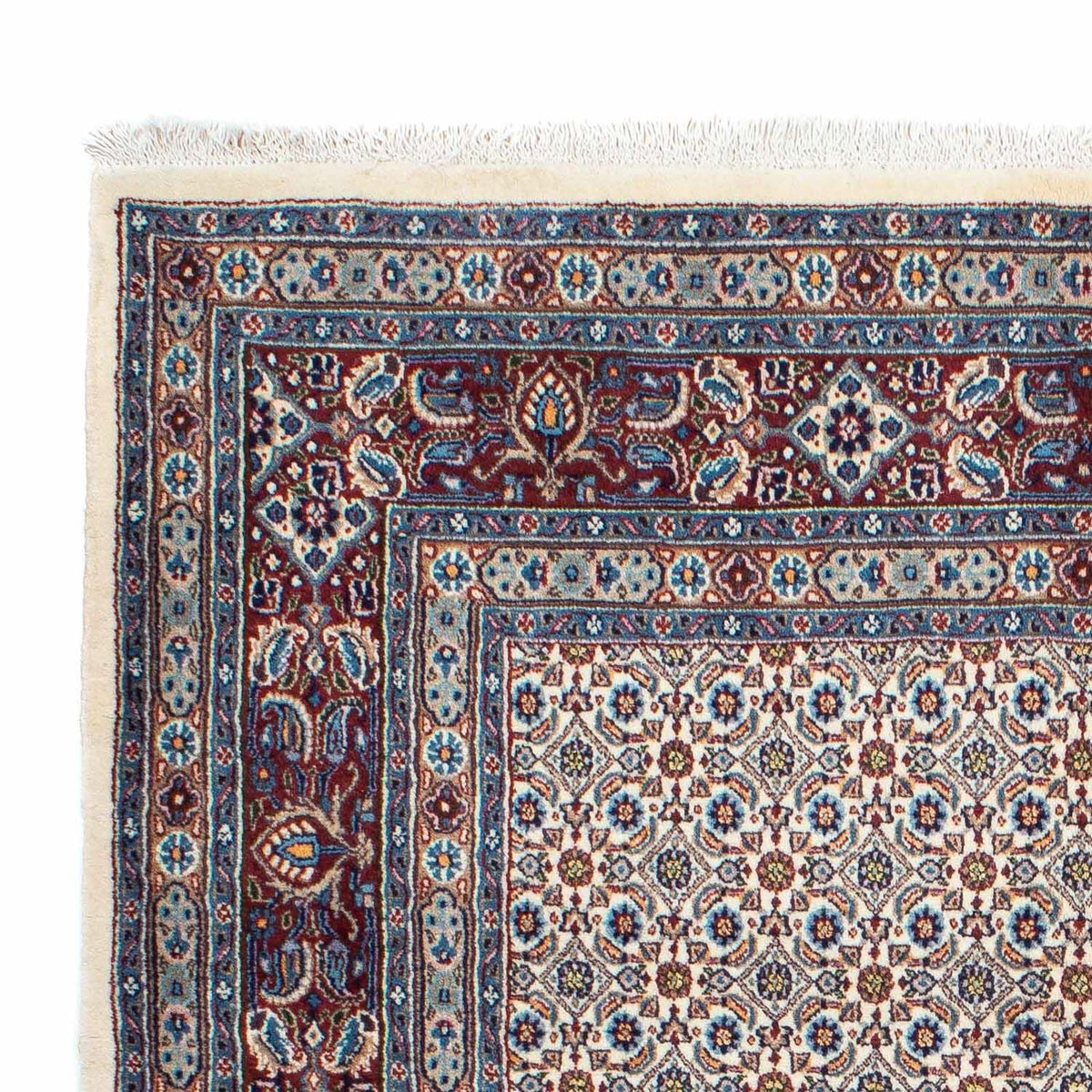 Tapis de Moud Tapis 154x193cm - Tapis persan