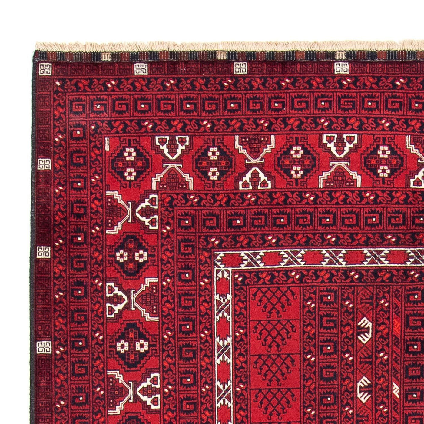 Tapis Turkaman 246x157cm - Tapis persan