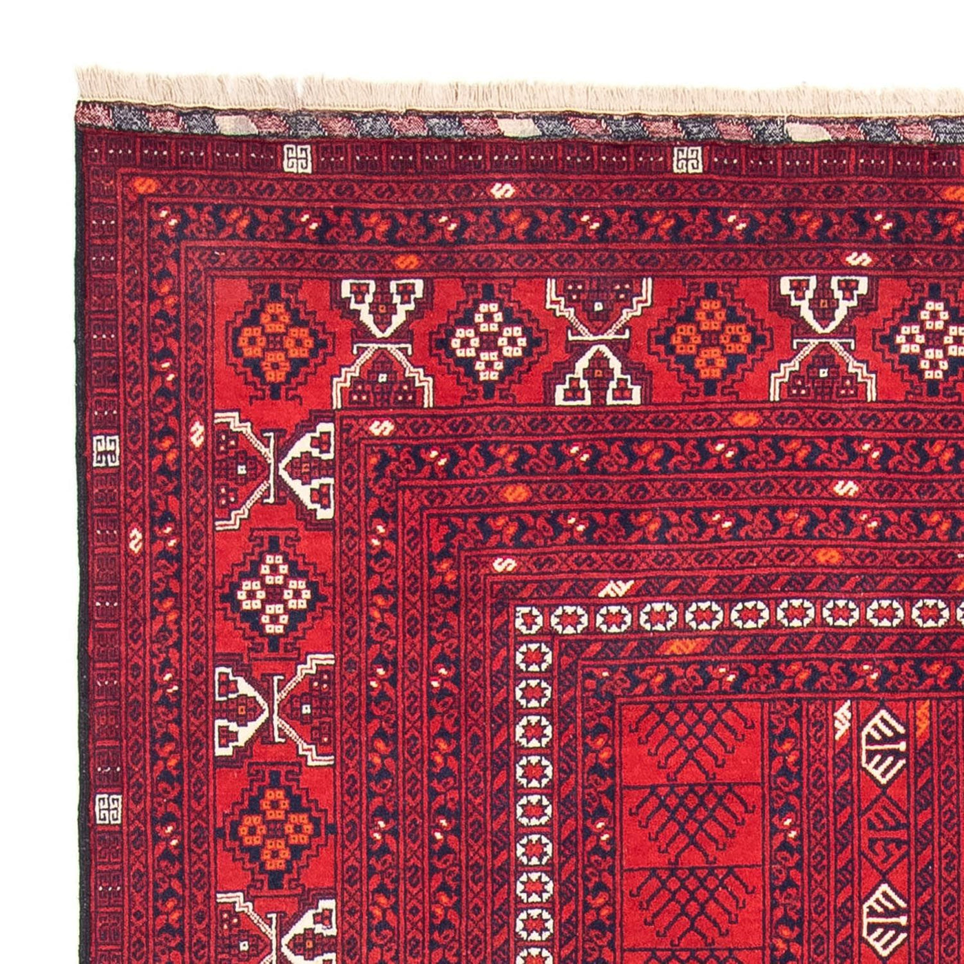 Tapis Turkaman 245x158cm - Tapis persan