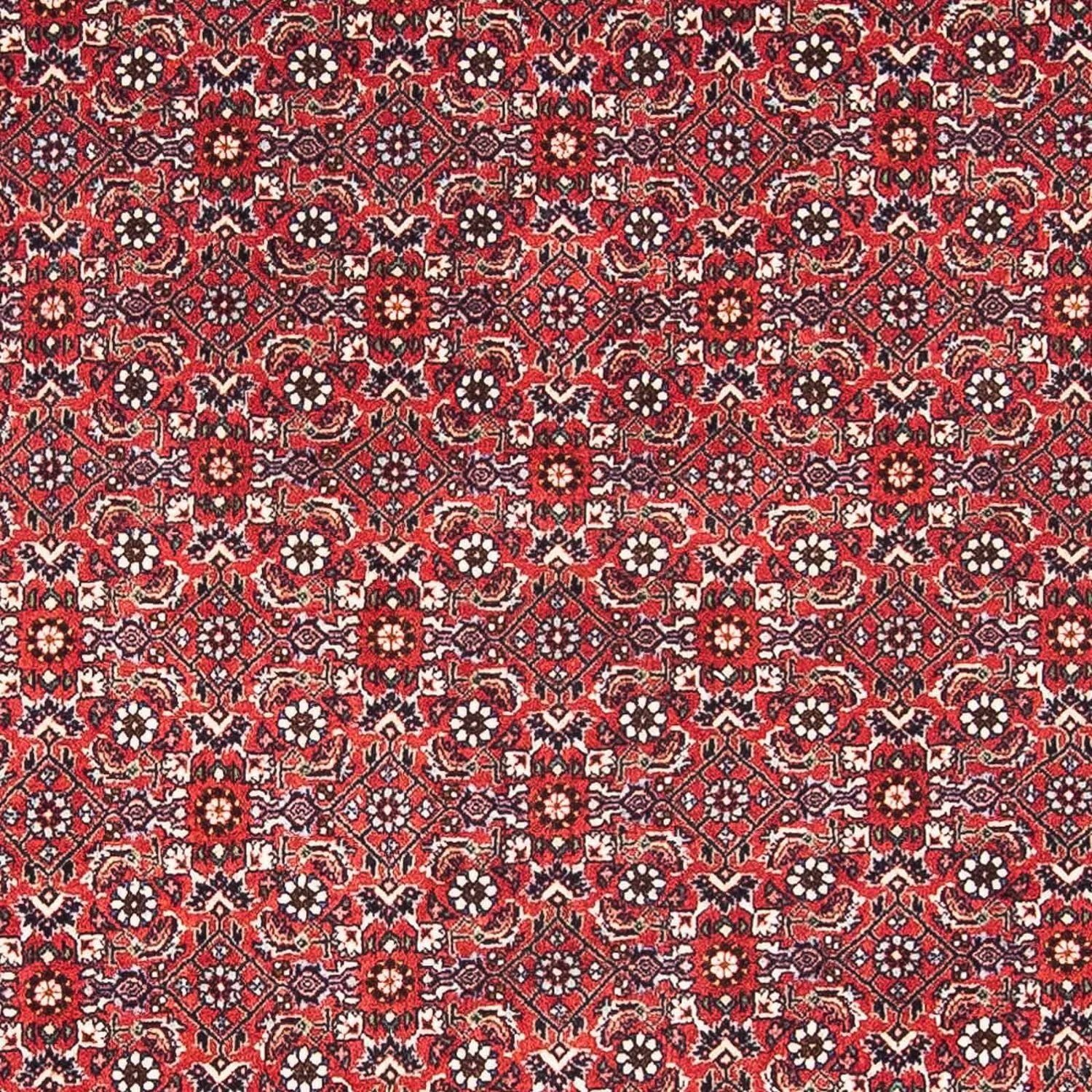 Perserteppich - Bidjar - Royal 174 x 111 cm