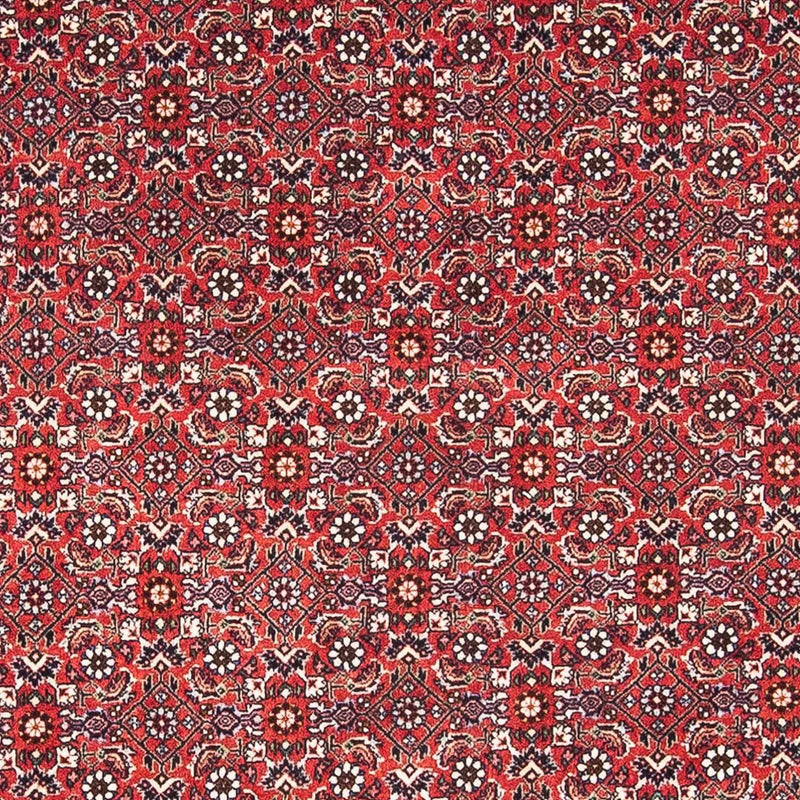 Perserteppich - Bidjar - Royal 174 x 111 cm