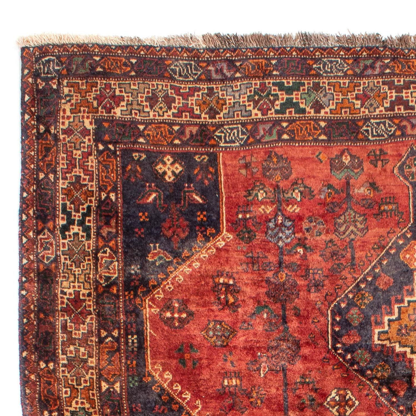 Tapis de Chiraz Tapis 306x212cm - Tapis persan