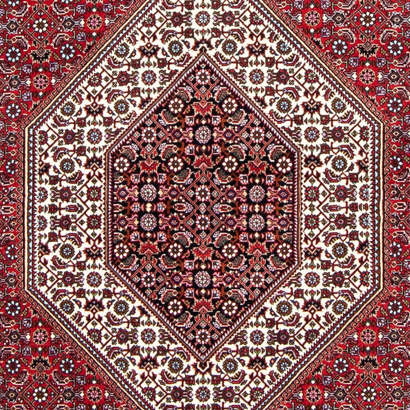 Perserteppich - Bidjar 250 x 149 cm