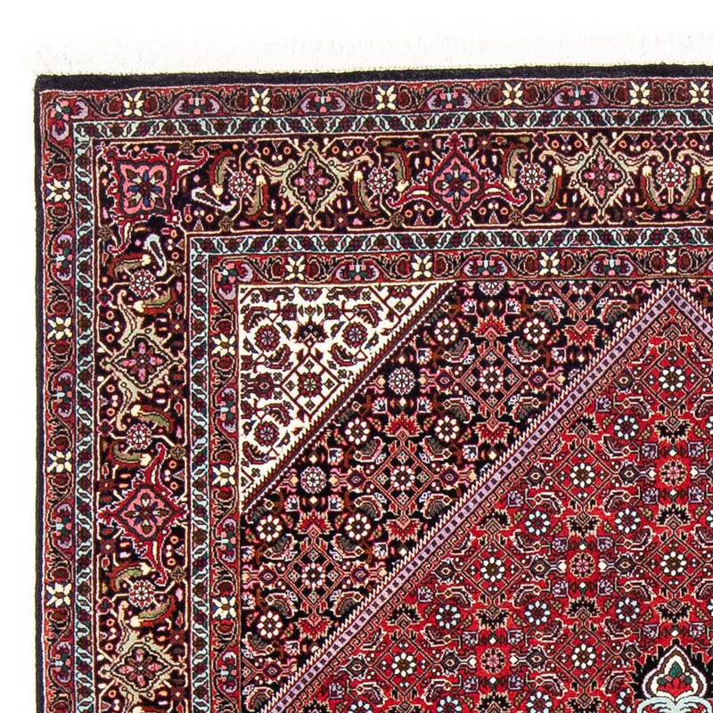 Perserteppich - Bidjar 250 x 149 cm