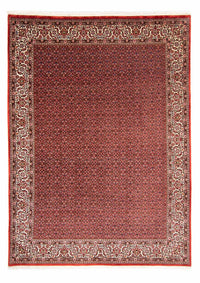 Tappeto Persero - Bidjar - 330 x 246 cm - rosso