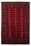 Afghan Teppich - Buchara 243 x 171 cm - dunkelrot