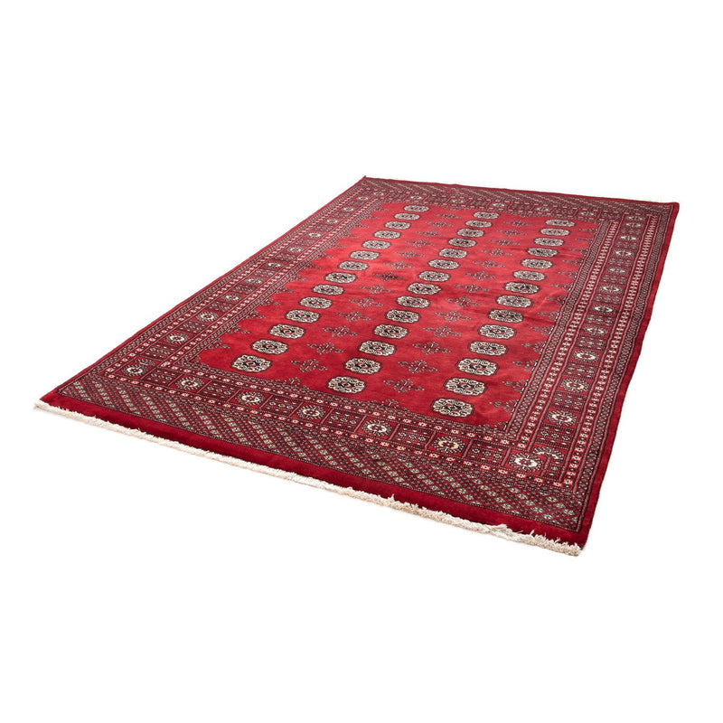 Afghan Teppich - Buchara 243 x 171 cm - dunkelrot