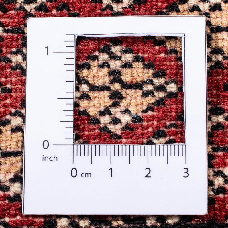 Afghan Teppich - Buchara 243 x 171 cm - dunkelrot