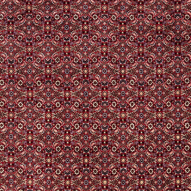 Perserteppich - Bidjar - Royal 349 x 250 cm - rot