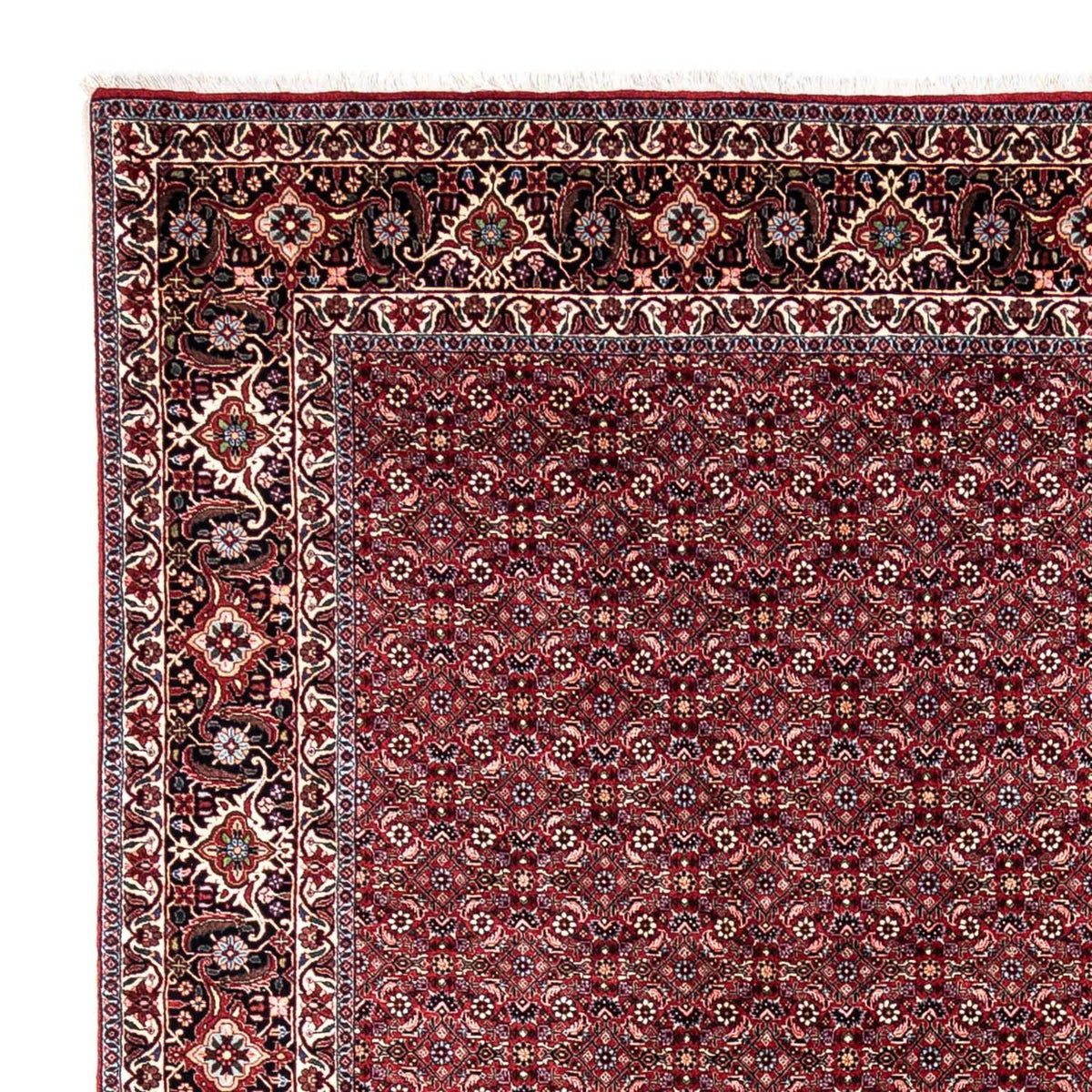 Perserteppich - Bidjar - Royal 349 x 250 cm - rot