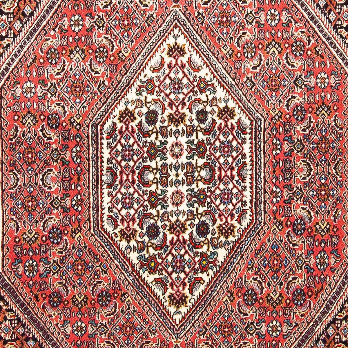 Perserteppich - Bidjar - Royal 160 x 108 cm - hellrot