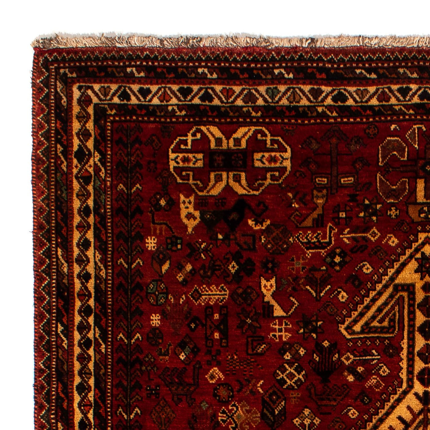 Shiraz Tappeto 298x178cm - Tappeto persiano