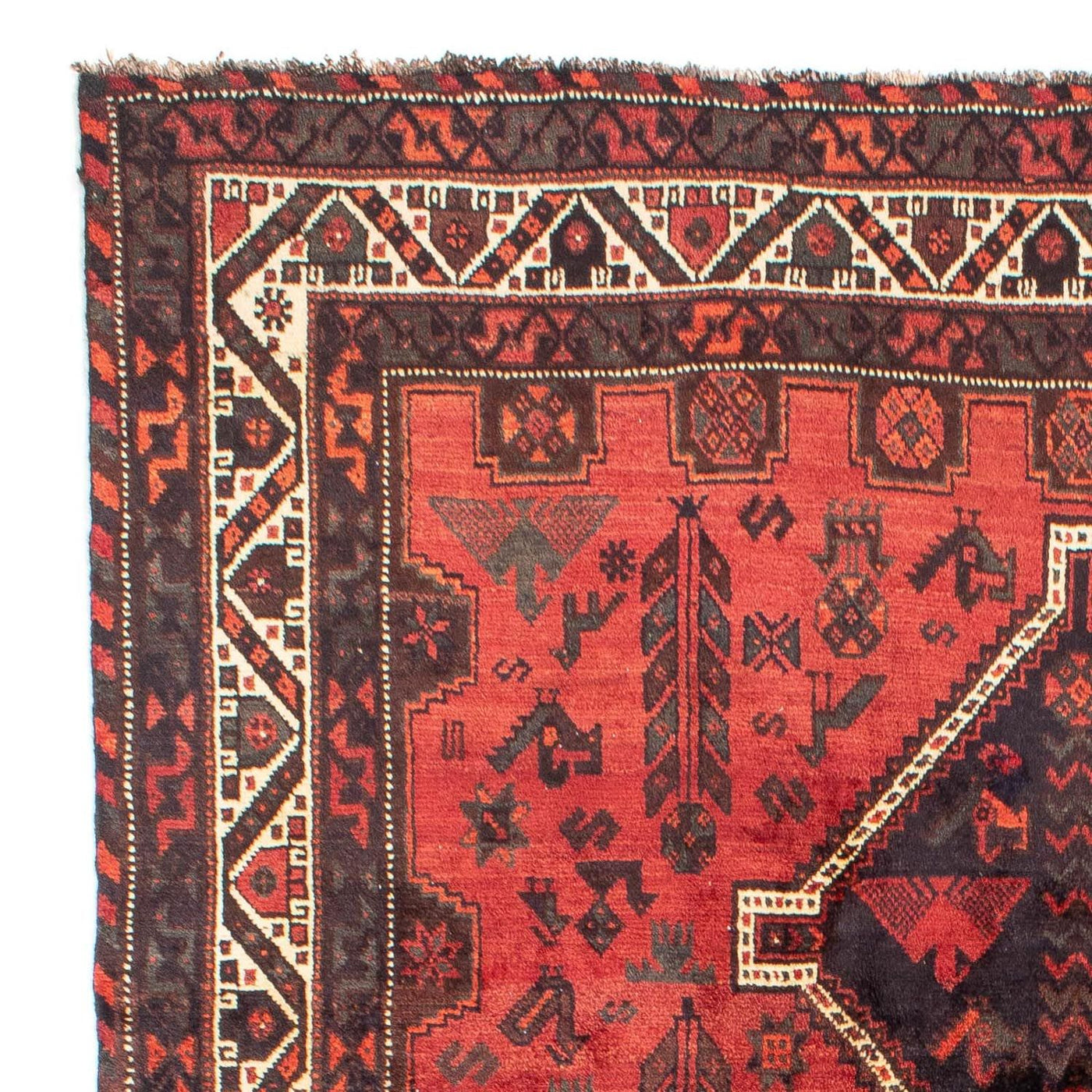 Tapis de Chiraz Tapis 318x206cm - Tapis persan