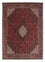 Perserteppich - Bidjar 241 x 170 cm