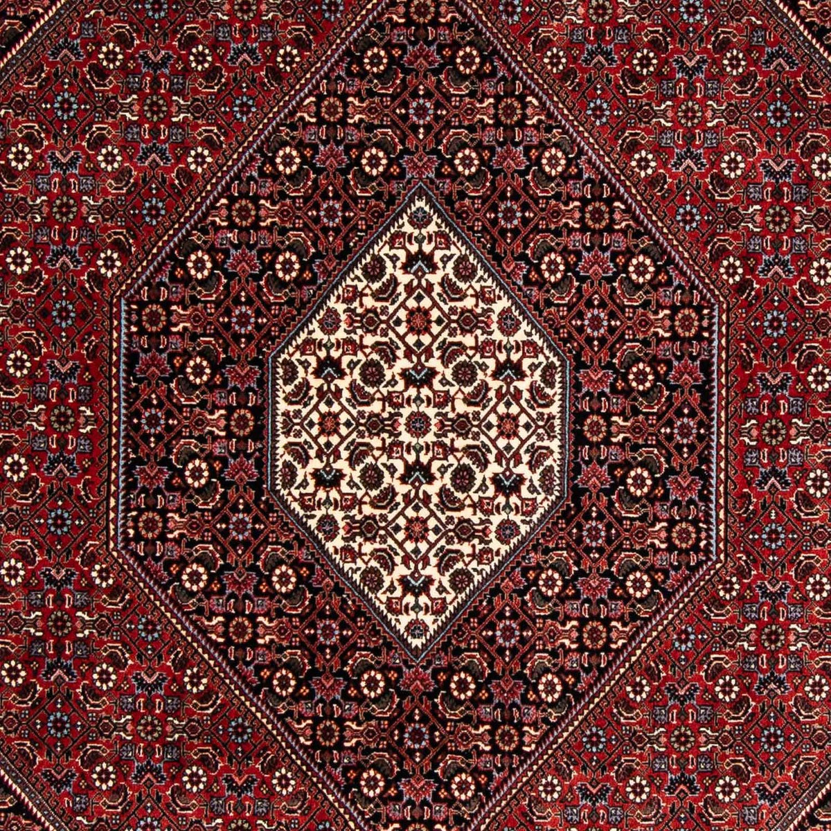Perserteppich - Bidjar 241 x 170 cm