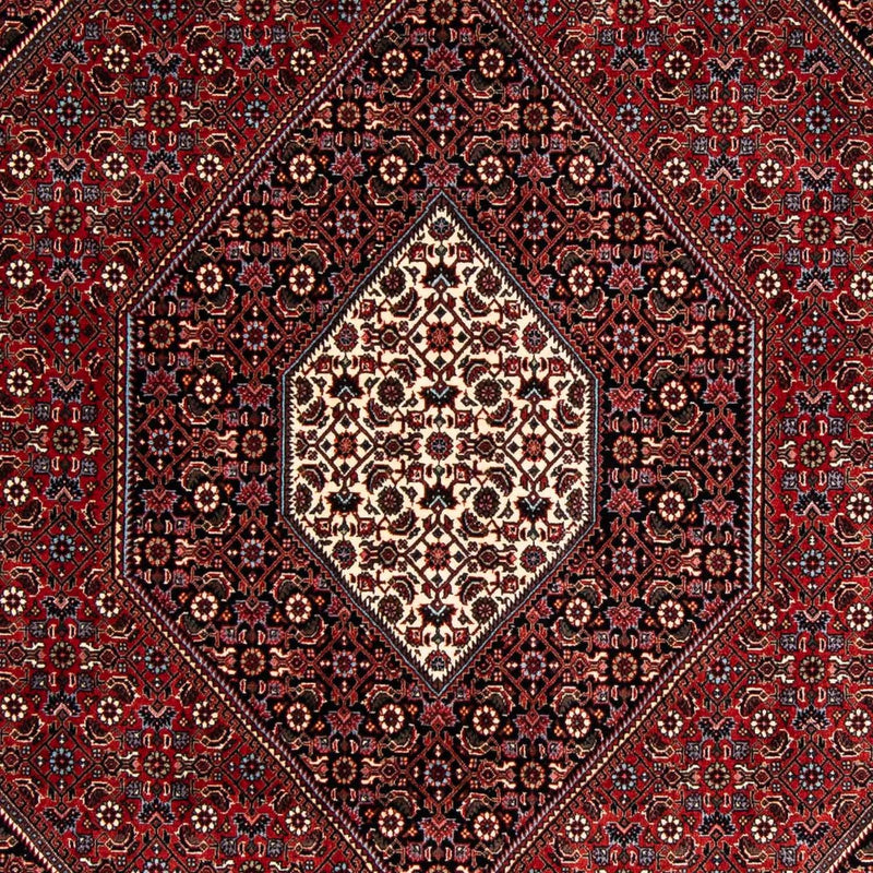 Perserteppich - Bidjar 241 x 170 cm