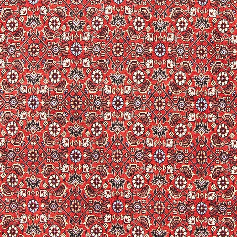 Perserteppich - Bidjar - Royal 98 x 97 cm Quadratischer Teppich