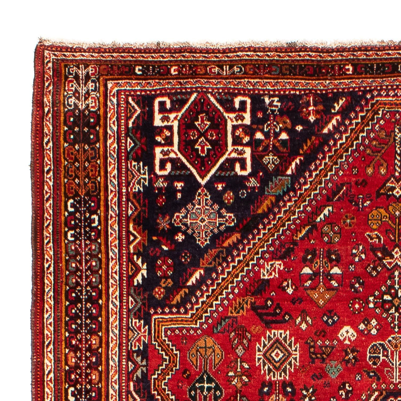 Shiraz Teppich 298x189cm - Perserteppich