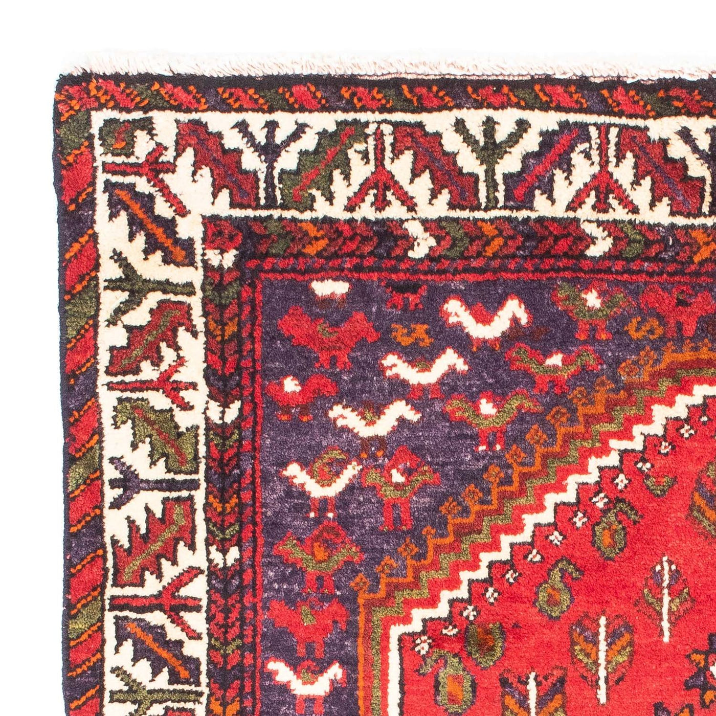 Shiraz Tappeto 139x111cm - Tappeto persiano