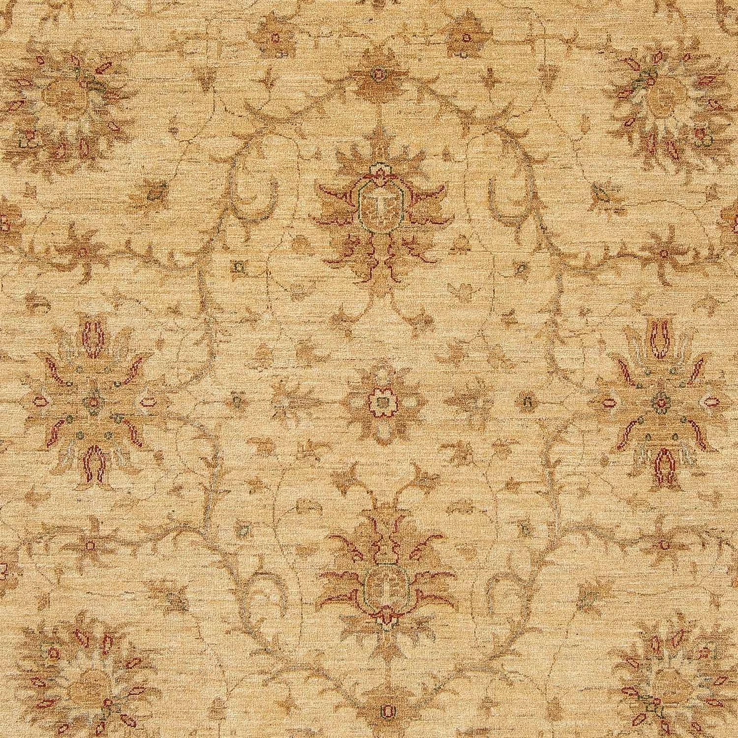 Ziegler Teppich 296 x 245 cm