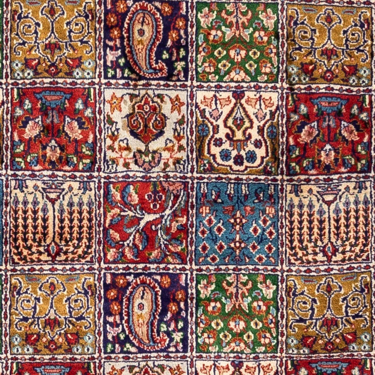 Perserteppich - Classic 251 x 162 cm