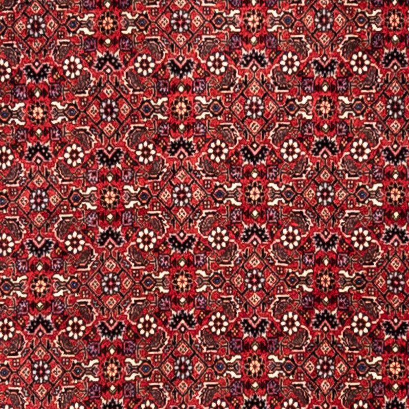 Perserteppich - Bidjar - Royal 345 x 253 cm - rot
